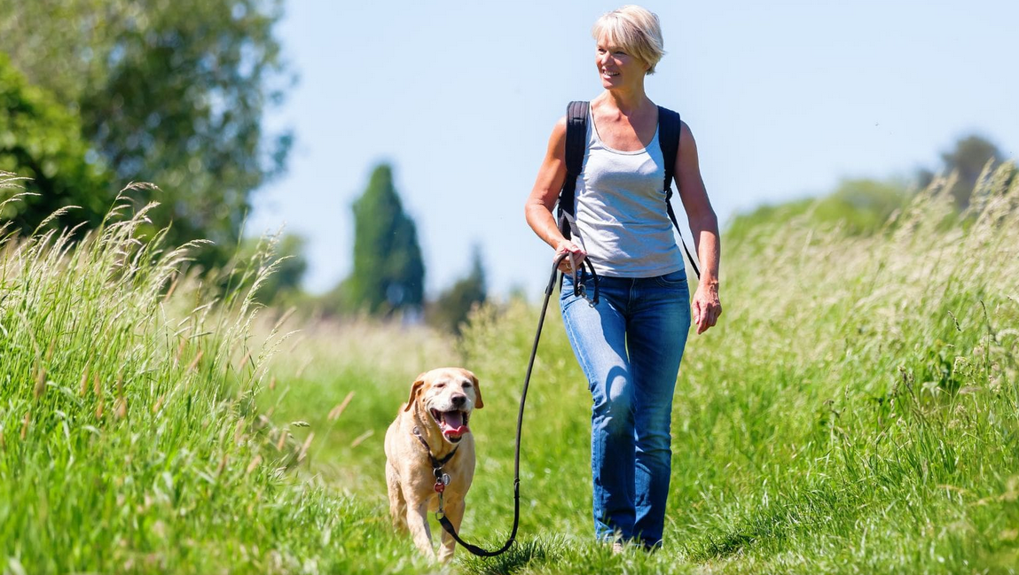 Chien dans les herbes